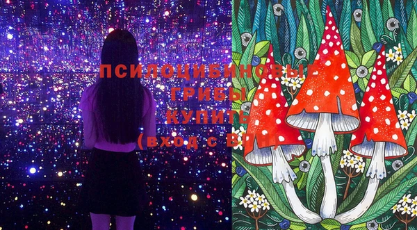 стафф Майский
